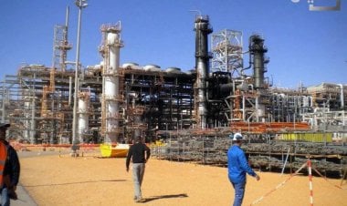 الجزائر  بين سندان كورونا ومطرقة التقلبات النفطية